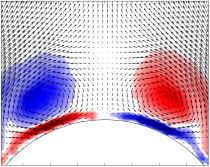forebody vortices