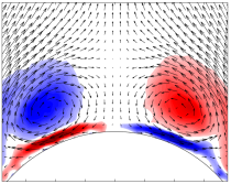 forebody vortices